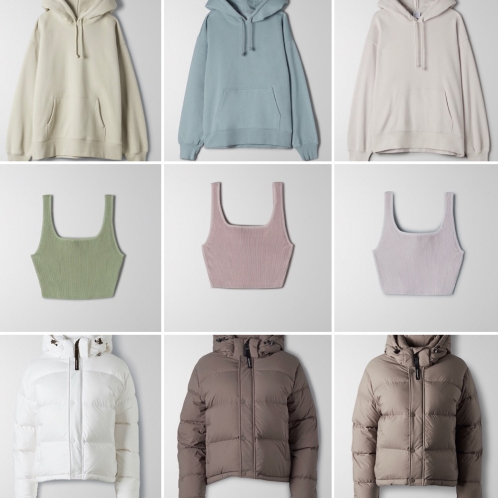 aritzia iso